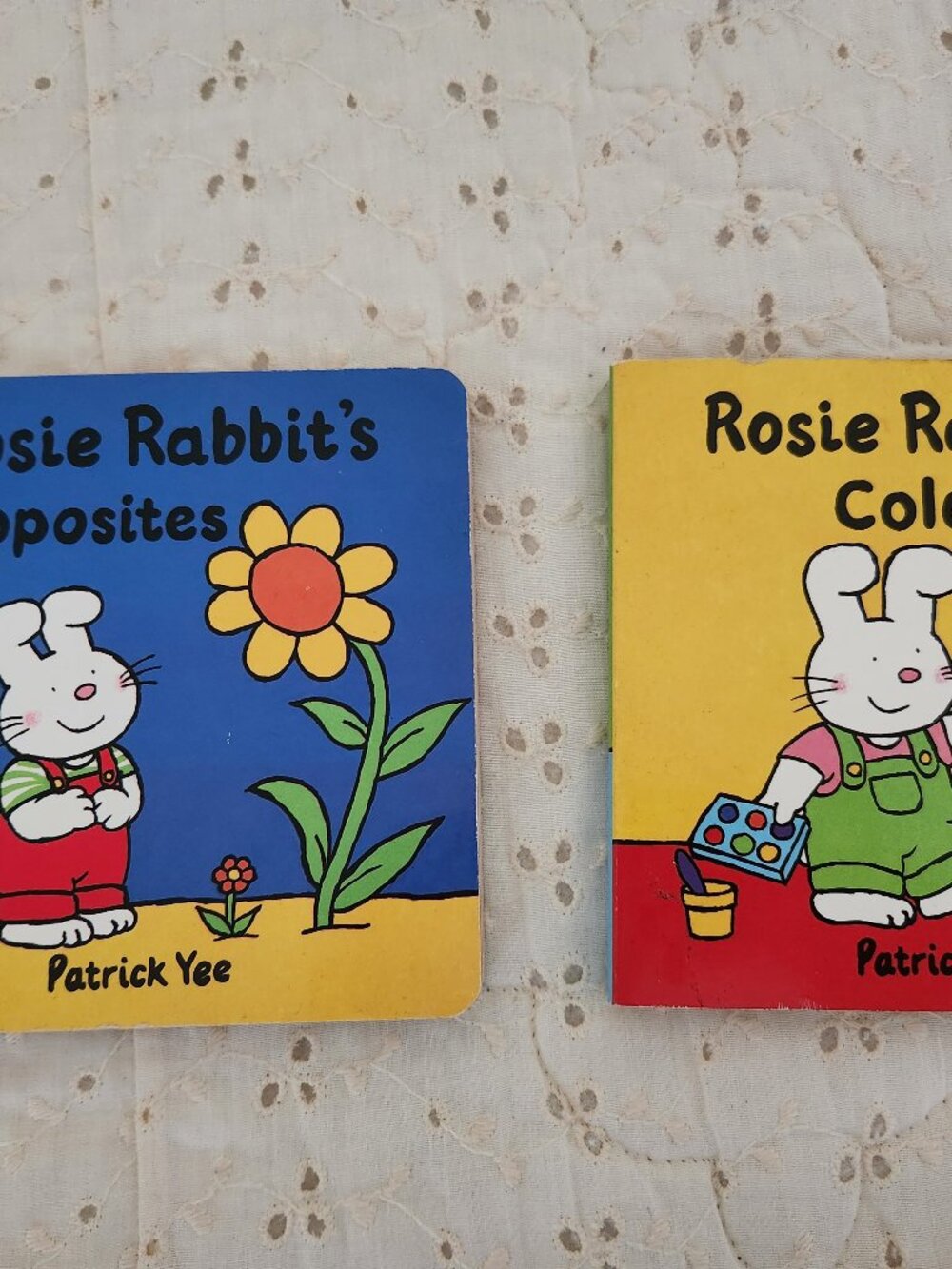 Rosie Rabbit's Board Book Patrick Yee Set Of 2 Children's Book Colors Opposites